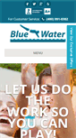 Mobile Screenshot of bluewaterchemical.com